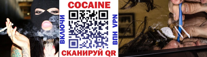 дарнет шоп  Шарья  ОМГ ОМГ как войти  Кокаин Fish Scale 
