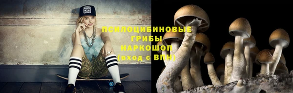 соль ск Абаза