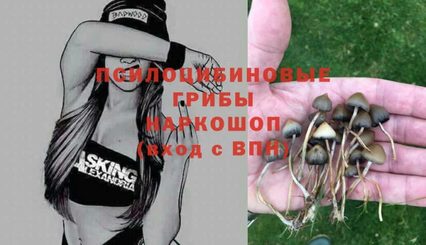стафф Абинск