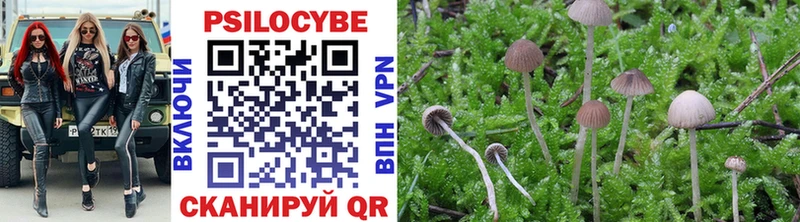 Псилоцибиновые грибы мухоморы где найти Шарья