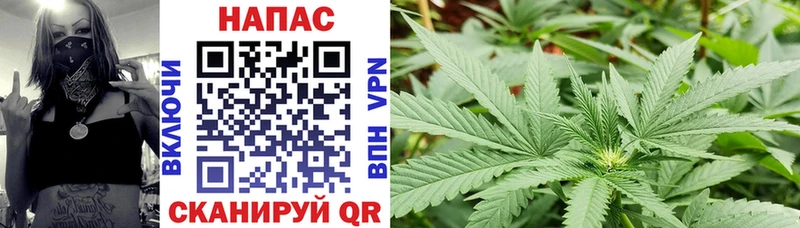 наркота  Шарья  Марихуана VHQ 